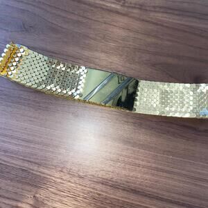 Vintage Fish Scale Gold Tone Belt